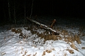 IMG_5717 (Resize)